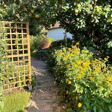 Vuko Vendeghaz * Balatonboglár